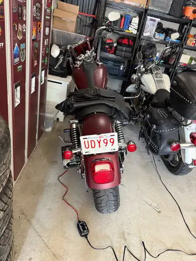 2008 street bob dyna. 1584 cc twin cam, stage 1 with vance and hynes pipes. 7500km on the bike, basi...