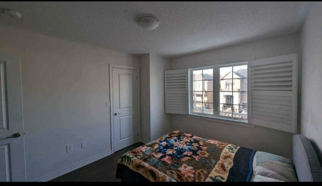 1 bed room rent shared or private Brampton  in Room Rentals & Roommates in Mississauga / Peel Region - Image 3