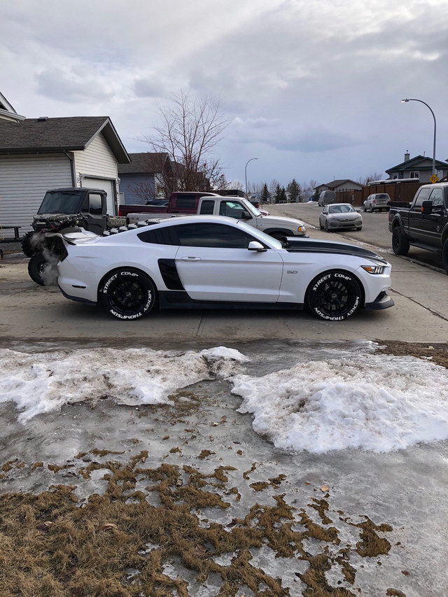 2017 mustang gt performance package.  in Cars & Trucks in Fort McMurray - Image 3