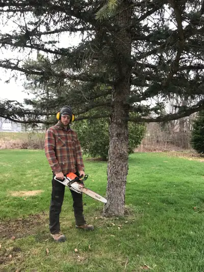 I don’t charge the prices of big campanies. 18 years experience in tree work. I come with a saw and...