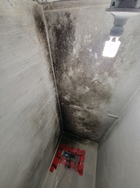 Mold & Asbestos removal