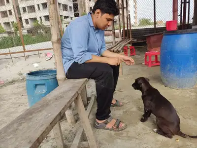Hi there! I'm new to offering dog sitting and walking services, but I absolutely love dogs and will...