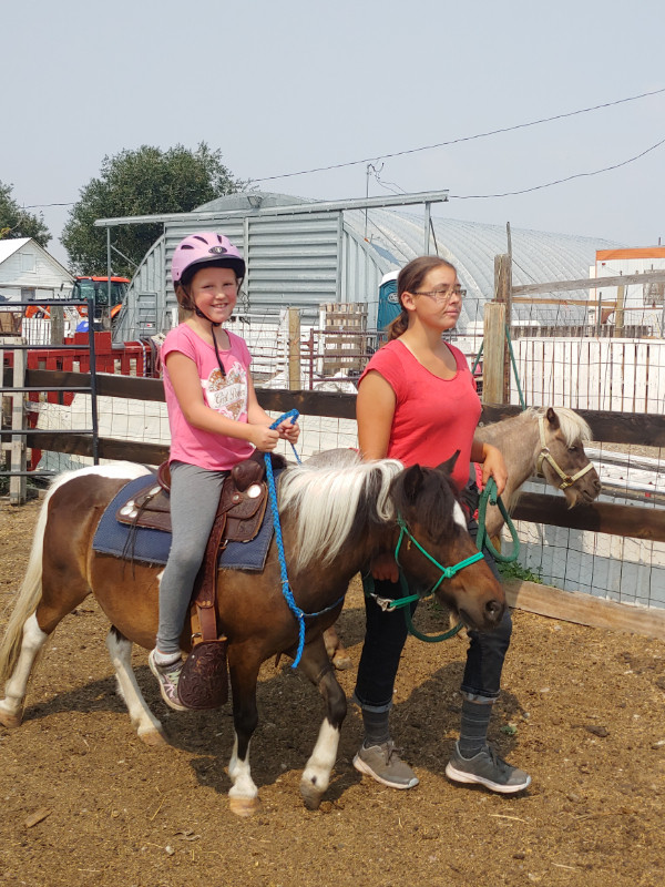 My Mini & Me Leadline pony program in Activities & Groups in Lethbridge - Image 2