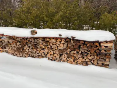 Dry hardwood firewood. Mostly dry elm and ash. $160/facecord. A facecord is approximately 8' long, 4...