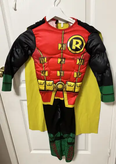 Robin Halloween costume, View more