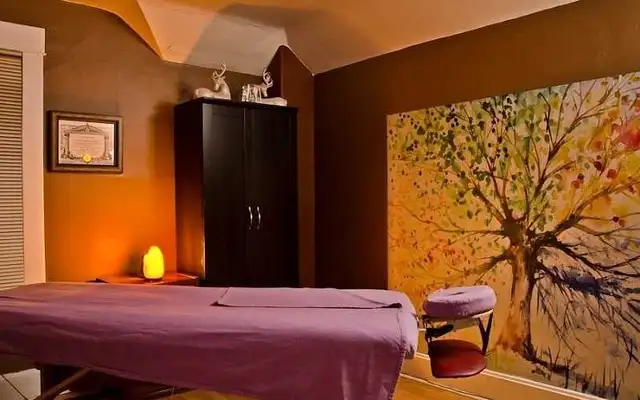 LICENSED RMT OSTEOPATH MASSAGE THERAPIST 630083046167051225