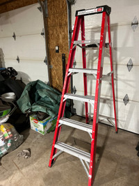 Fiberglass ladder with paint tray