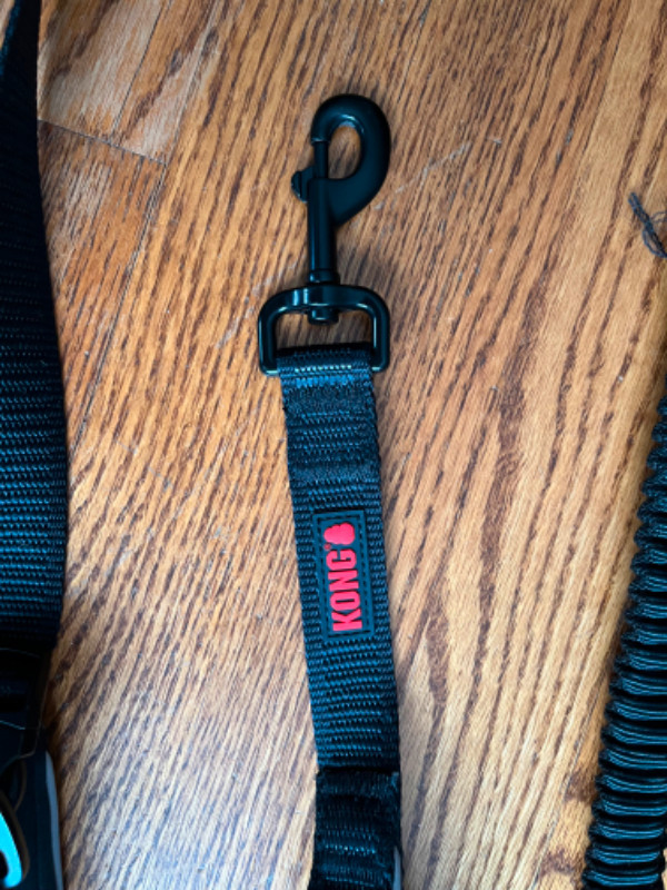 Kong Dog Leash in Accessories in Ottawa - Image 4
