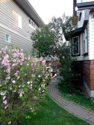 Private basement suite in a great inner city community of Mount Pleasant (5th Street & 23 Avenue NW...
