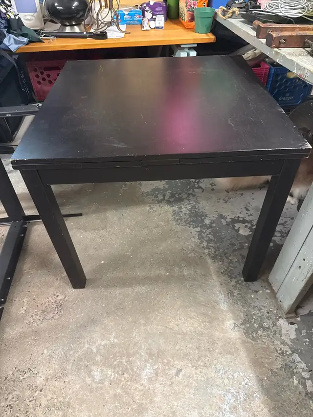 IKEA BJURSTA Table
