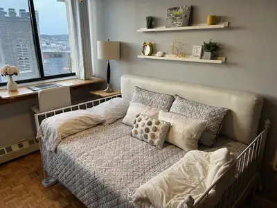 Available Jan. 1st. Very bright, tastefully furnished room in spacious 2 bdrm apt. in downtown high...