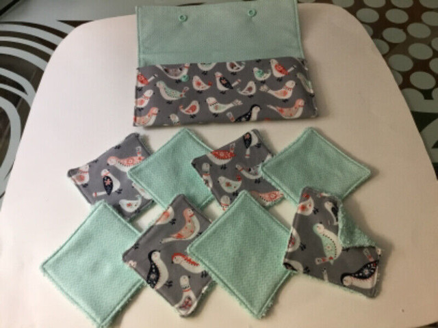 Étui et lingette démaquillantes / Case and makeup remover wipes dans Santé et besoins spéciaux  à Longueuil/Rive Sud - Image 4