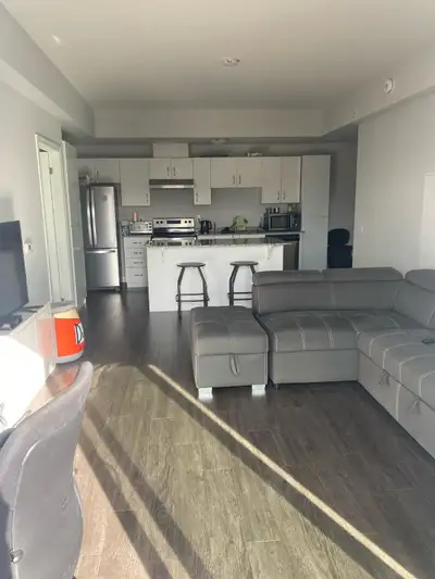 1 room in a 3 bedroom apartment