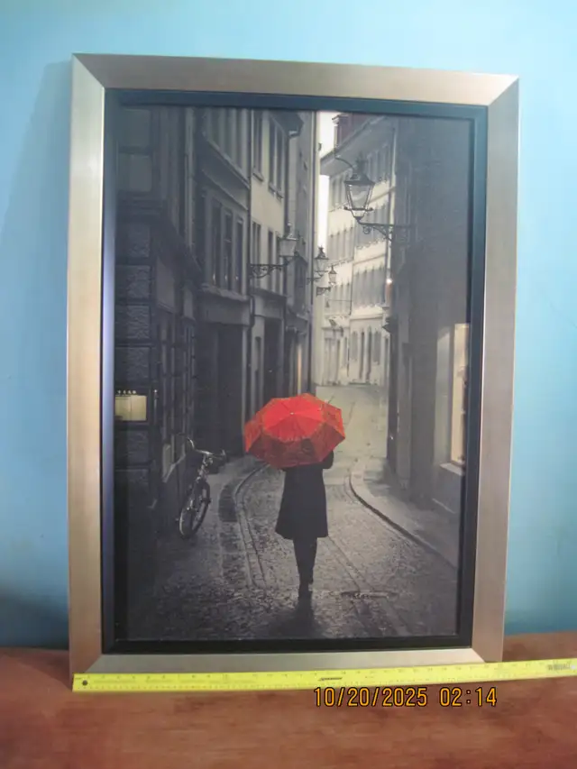 Large picture in Home Décor & Accents in Brantford - Image 3