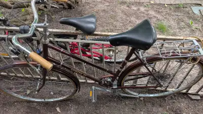 Spirit, Female,27. inch, Wheels ,, View more