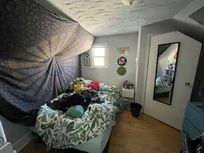 Room For Rent Downtown Ottawa All Inclusive