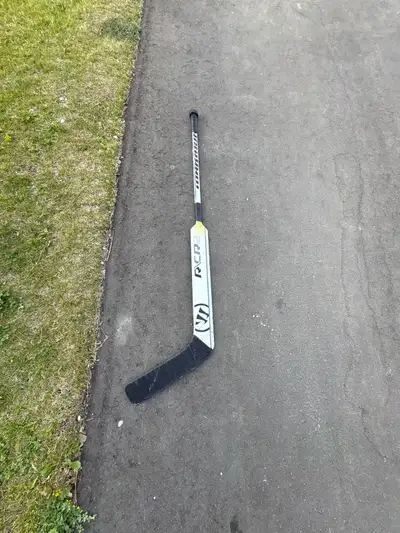 Goalie Stick, View more
