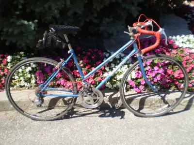 Talisman Prelude 19in Women's Frame, Components and Wheels, View more