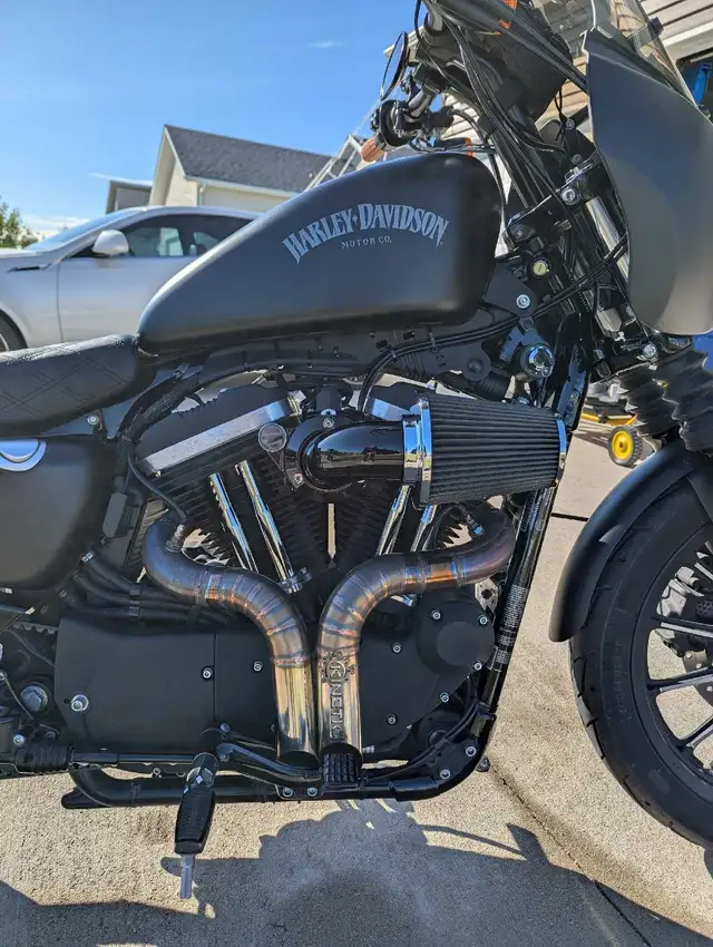 2014 Harley Davidson Sportster 883 Iron in Street, Cruisers & Choppers in Winnipeg - Image 4