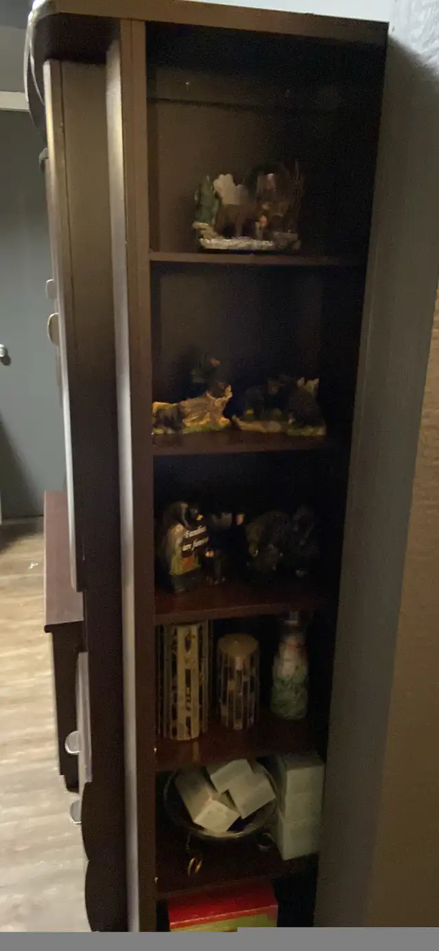 Entertainment Centre  in TV Tables & Entertainment Units in Revelstoke - Image 4