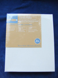 NEW Artist's Loft Canvas Pack of 2 --  20.3cm x 25.4cm  canvases