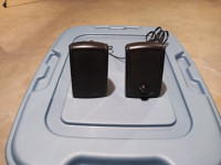 A Pair of Computer Speakers