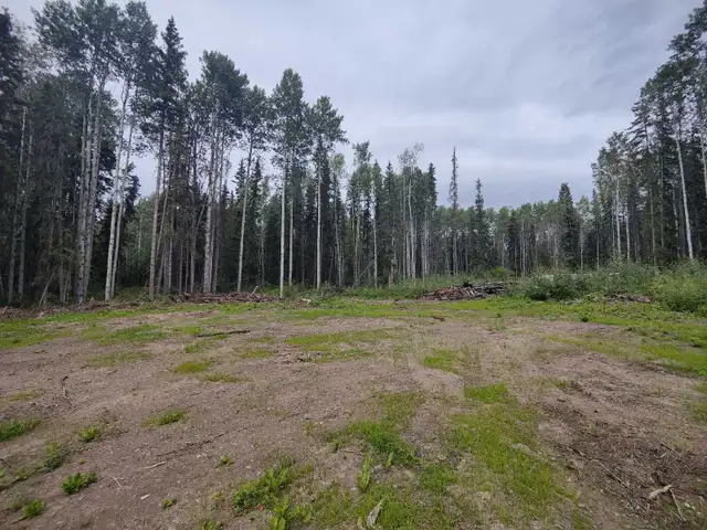 5.1 Acres For Sale Near Stuart Lake, BC in Land for Sale in Downtown-West End - Image 6