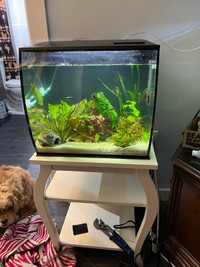 Fluval flex 15 gal tank and stand