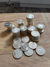 Silver rounds for sale in PG