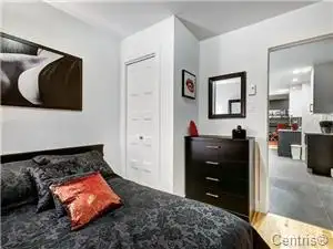 TRIPLEX FOR SALE  ROSEMONT HIGH REVENUE FULLY RENTED NEAR METRO