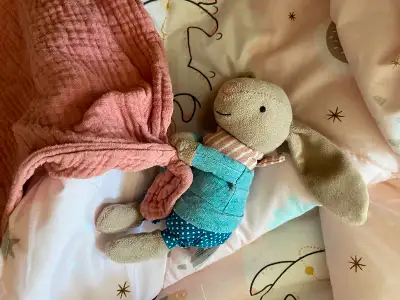 En bonne condition. Maison sans tabac et sans animaux Avec étiquette Jellycat en place