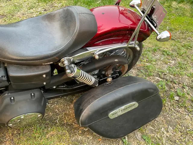 Harley Davidson for sale in Street, Cruisers & Choppers in Winnipeg - Image 2