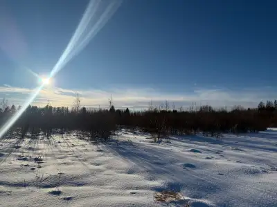 150 acres of vacant recreational/pasture land available for the hunting and nature enthusiast. THIS...