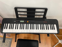 Casio Electric Piano with 61 Keys