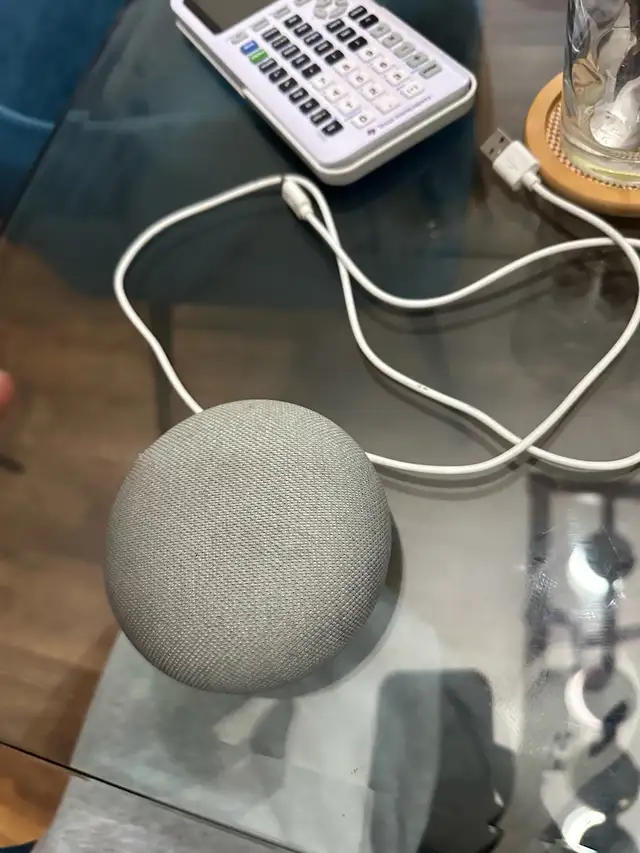 Google home mini 1st gen 471851187401533440