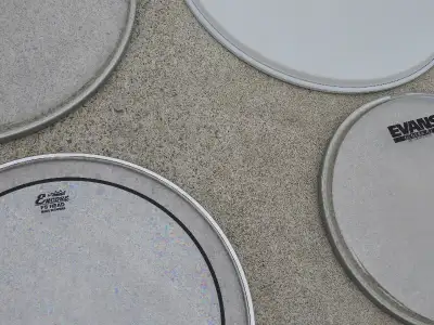 Drum Heads for sale, View more