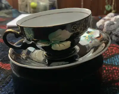 Shafford Japan Hand Painted Teacup and Saucer, View more