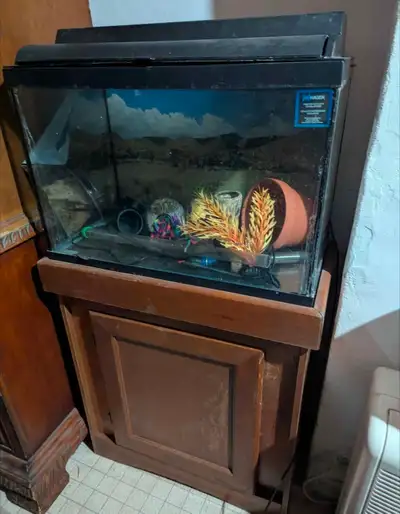 Fish Tank with stand, View more