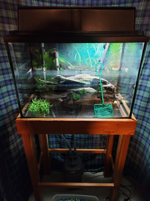 20 gallon fish tank with cannister filter and stand. in Accessories in Kitchener / Waterloo - Image 2