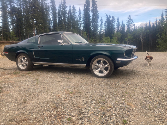 1968 ford mustang  in Classic Cars in Whitehorse - Image 3