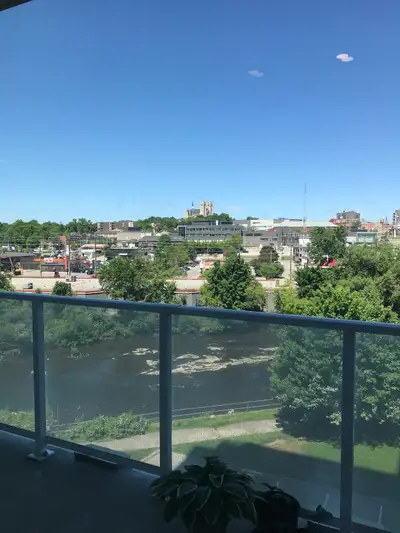 Female roommate wanted. Come home to one of the most luxurious condo building in Guelph. Plenty of a...