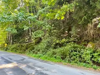 This 1.34-acre wooded property offers plenty of privacy and mature forest, with frontage on both Nar...