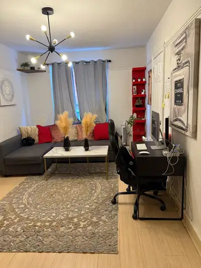 Furnished Bachelor