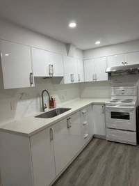3 bedroom Newly renovated basement apartment for rent