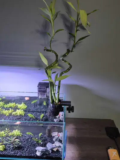 aquarium plant holder with adjustable screw , View more