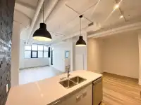 Beautiful Brand New Downtown Condo For Rent!