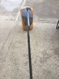 All Carbon Whitewater Galasport Paddle - $375