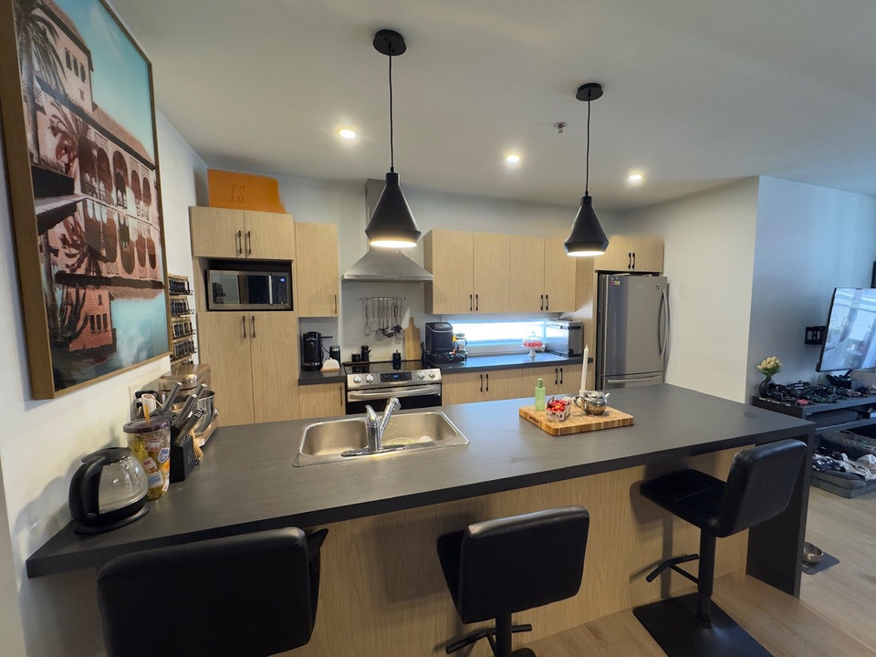 Grand 4 1/2 Chiens Acceptés, 2 Places de Garage, Internet 2