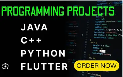 Python,Javascript,Html,SQL Networking,MATLAB EXCEL Projects Help, View more