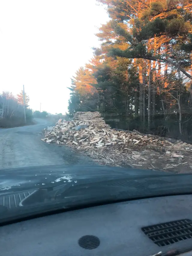 Seasoned cut and split firewood in Fireplace & Firewood in Bridgewater - Image 6